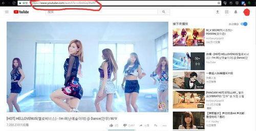 国产粉色搬运工视频网站