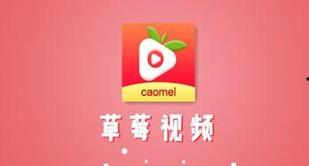 国产草莓视频无码app入口,独家入口大公开