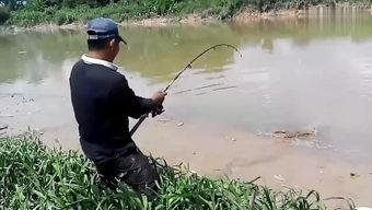 国产钓鱼艇下水视频网站,国内视频网站见证国产力量崛起