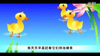 鸭子国产推荐视频网站,探索视频网站上的美味鸭肴之旅