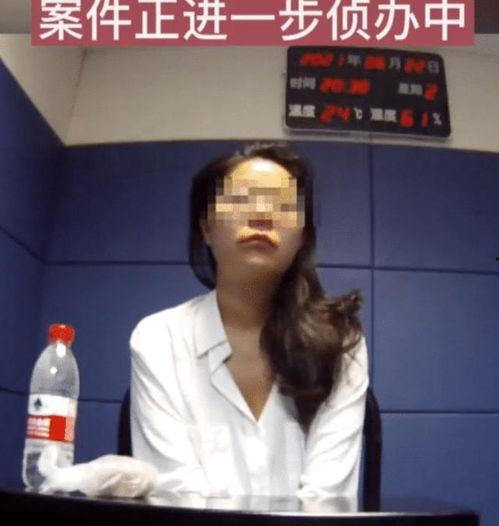 国产沈先生视频,揭秘中国本土短视频新势力