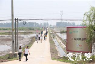 农田国产无人机视频,国产无人机助力农业现代化