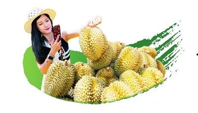 三亚国产榴莲现场视频播放,三亚国产榴莲新鲜上市，口感与风味大揭秘